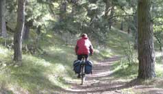 IS.RADWEG.
